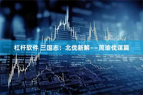 杠杆软件 三国志：北伐新解——周瑜伐谋篇